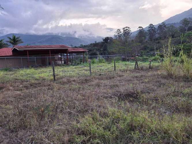 Venta de Lote PLANO en Dota-Santa María.  - Imagen 4