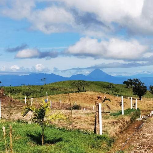 Quintas de 5.000 m² con vista al Volcán Arenal | US$99.100 cada una