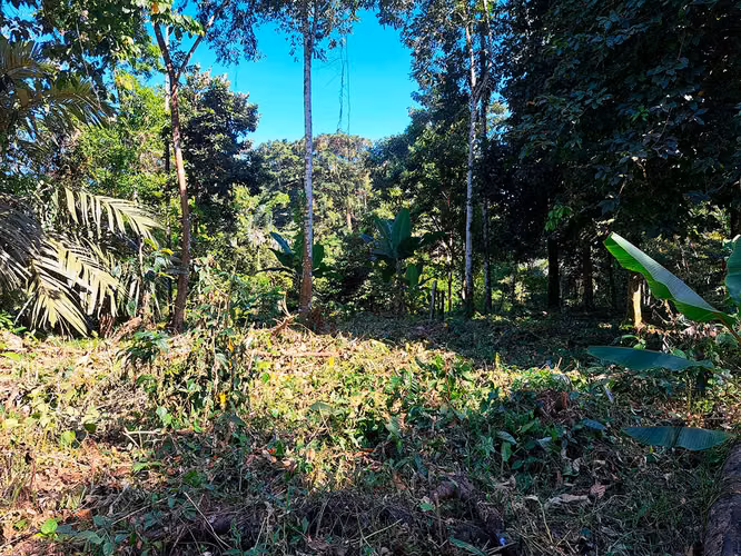 Lote con Vista al Mar en Punta Uva