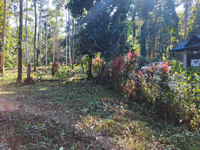Lote con Vista al Mar en Punta Uva