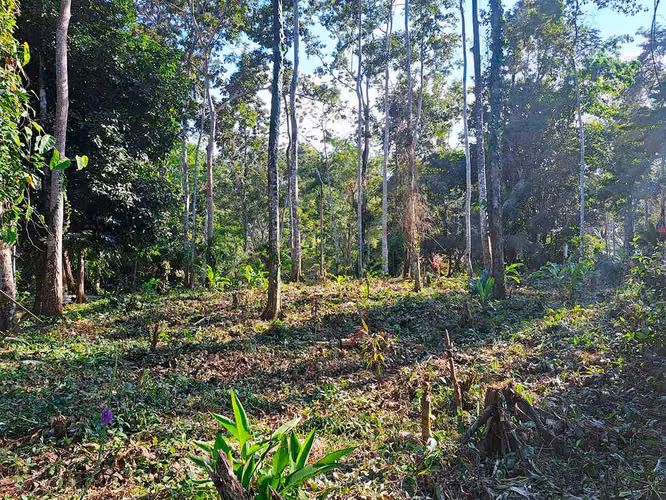 Lote con Vista al Mar en Punta Uva
