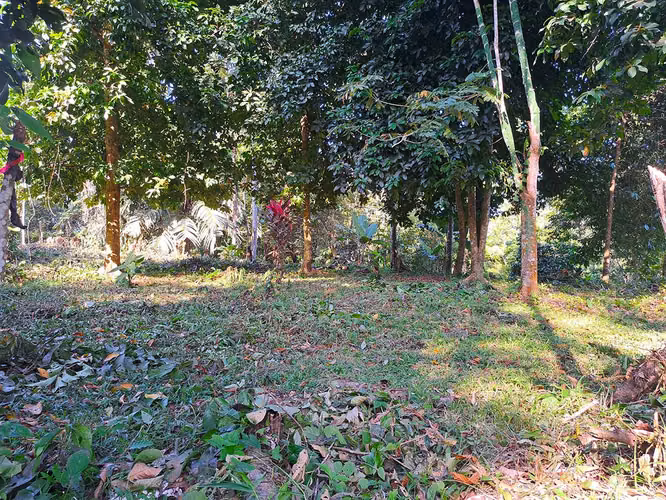 Lote con Vista al Mar en Punta Uva