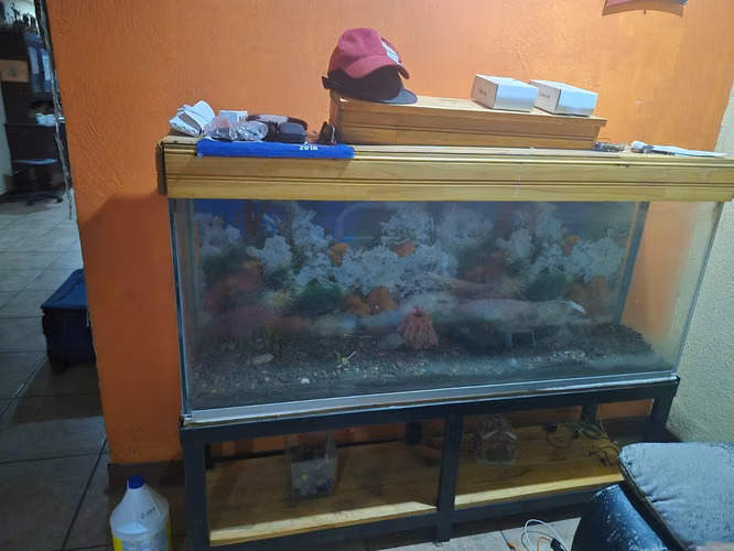 Pecera de vidrio 85 galones (323L) con mueble de acero — usada, buen estado