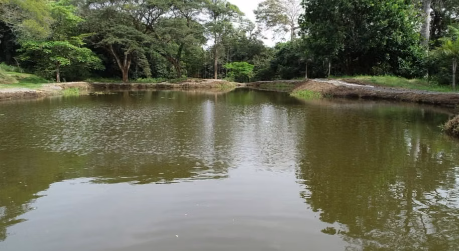 Vendo quinta 5.050 m2 en Residencial Las Praderas del Pacifico, San Mateo Alajuela