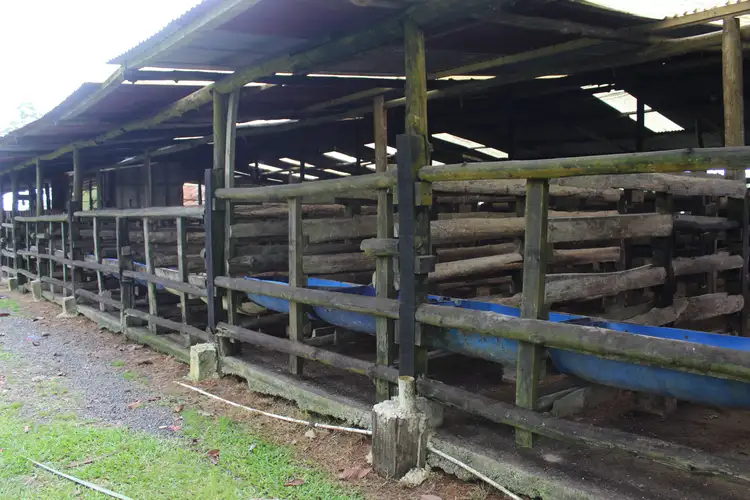 VENTA DE FINCA EN TURRUBARES.
