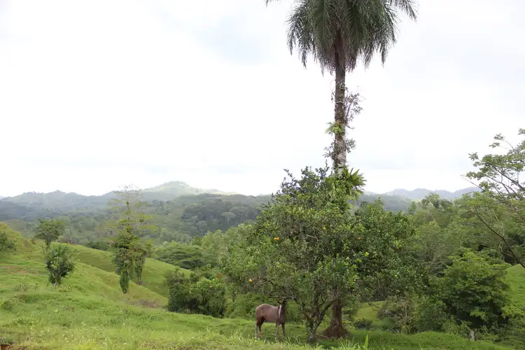 VENTA DE FINCA EN TURRUBARES.