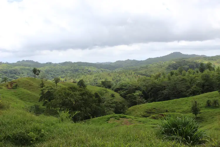 VENTA DE FINCA EN TURRUBARES.