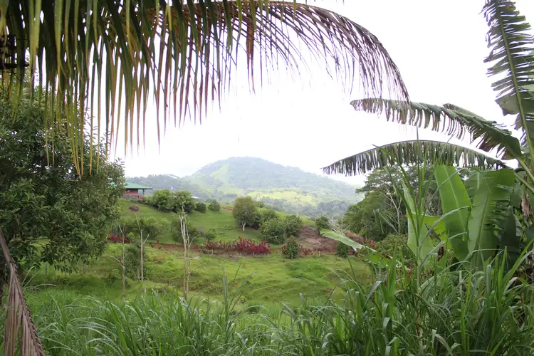 VENTA DE FINCA EN TURRUBARES.