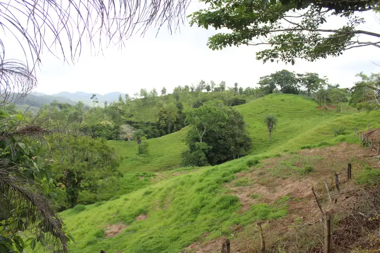 VENTA DE FINCA EN TURRUBARES.