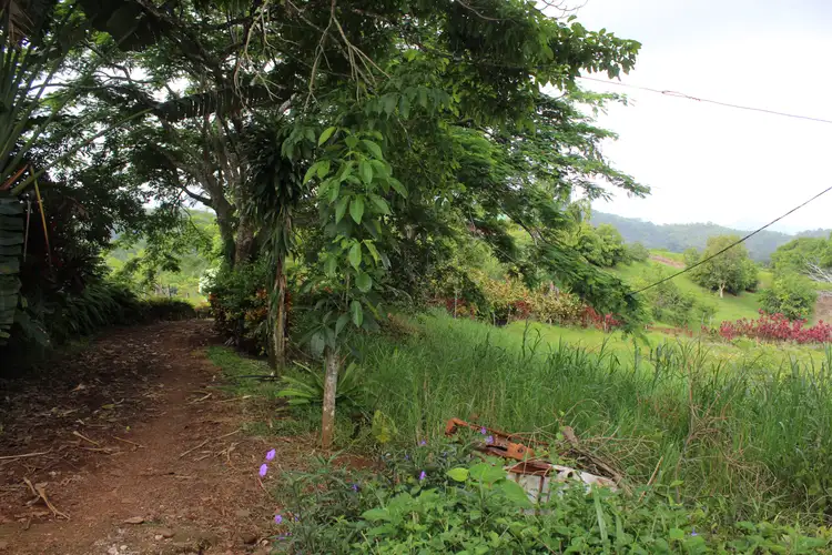 SALE OF FARM IN TURRUBARS.