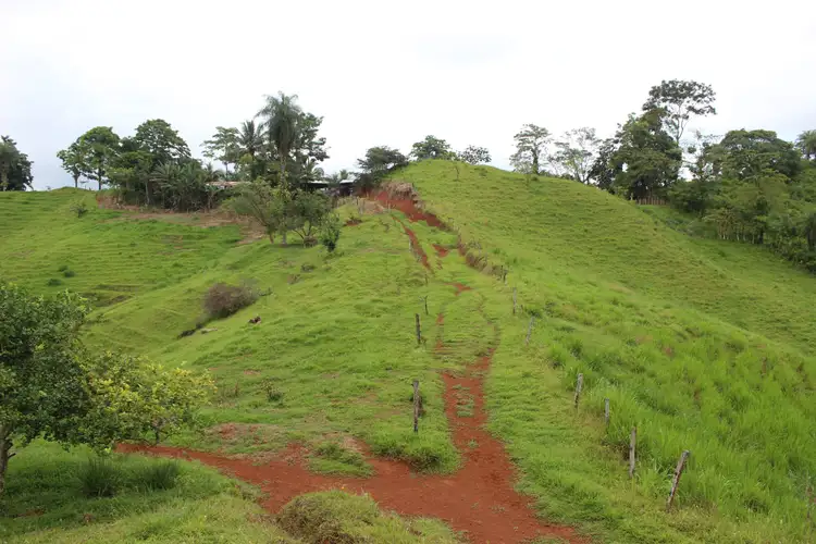 VENTA DE FINCA EN TURRUBARES.