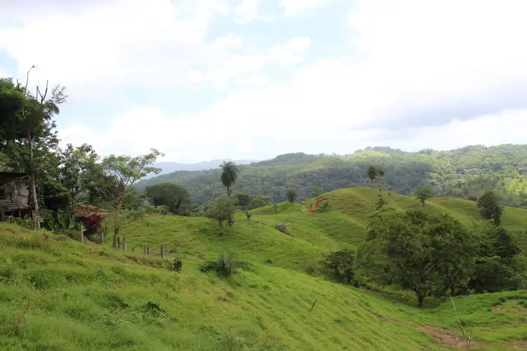 VENTA DE FINCA EN TURRUBARES.