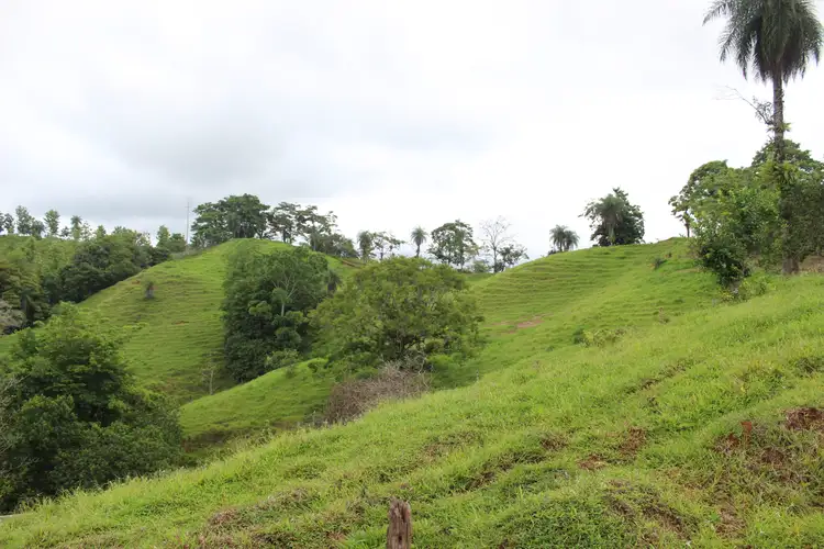 VENTA DE FINCA EN TURRUBARES.