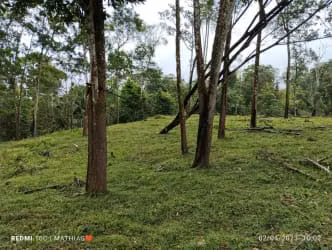 Finca de 57 Hectáreas en Dos Ríos de Upala, Alajuela