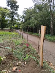 Finca de 57 Hectáreas en Dos Ríos de Upala, Alajuela