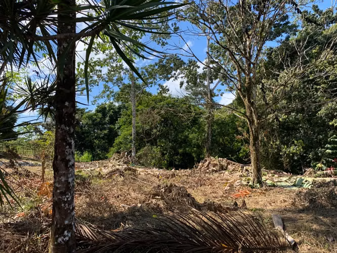 Finca de casi una hectárea en Pocosol, San Carlos, Alajuela