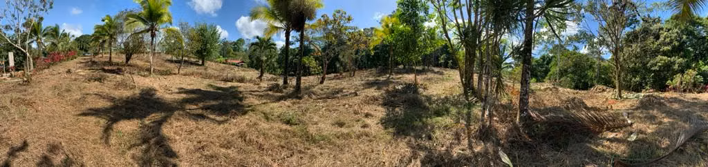 Finca de casi una hectárea en Pocosol, San Carlos, Alajuela