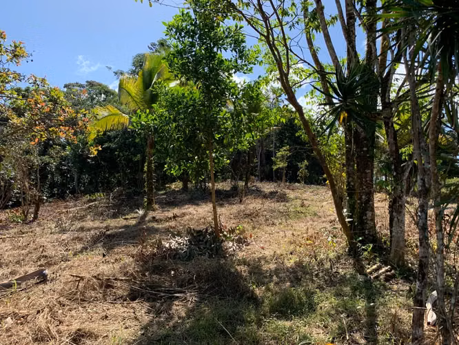 Finca de casi una hectárea en Pocosol, San Carlos, Alajuela