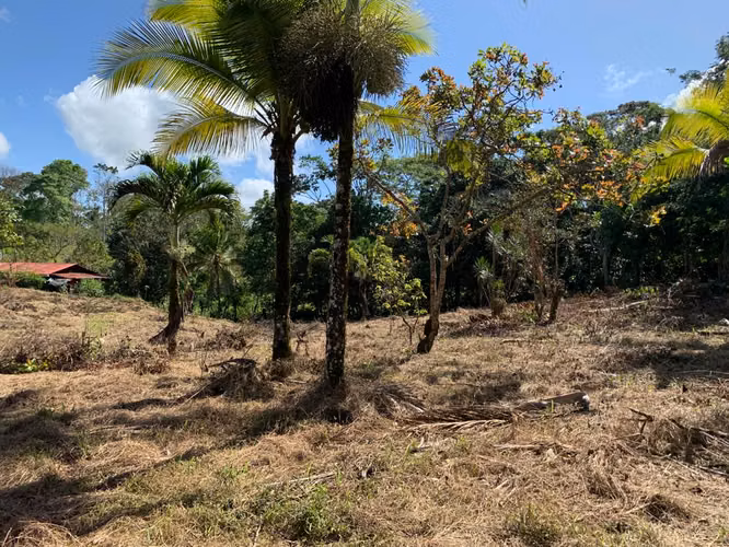 Finca de casi una hectárea en Pocosol, San Carlos, Alajuela