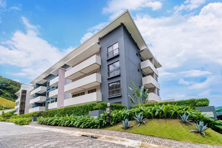 New Premiere Apartment in Setemibre-Cine Forests