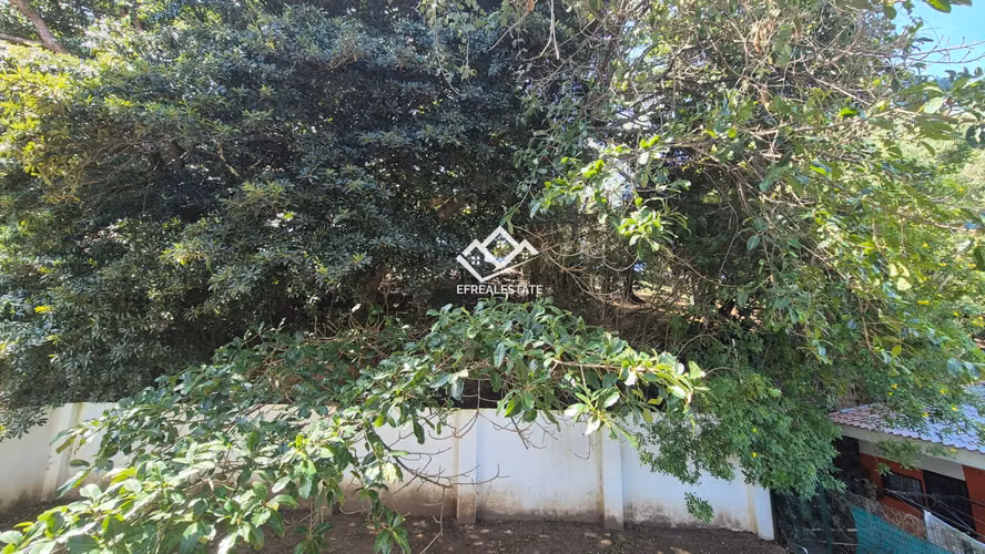 ALQUILER¡ PIEDADES APARTAMENTO EN TORRE DE 3HAB/ 2 BAÑOS 1 PARQUEO