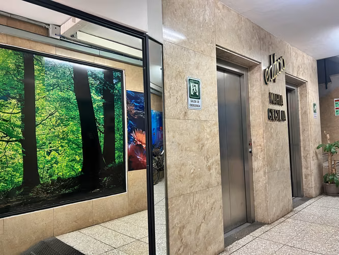 Oficinas en alquiler desde 20 m² | San José Centro