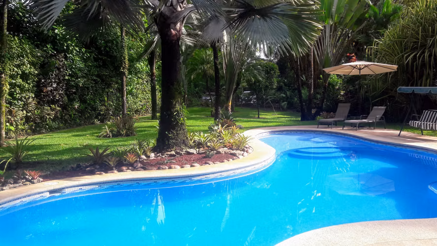 Sucessfull Guesthouse for sale
