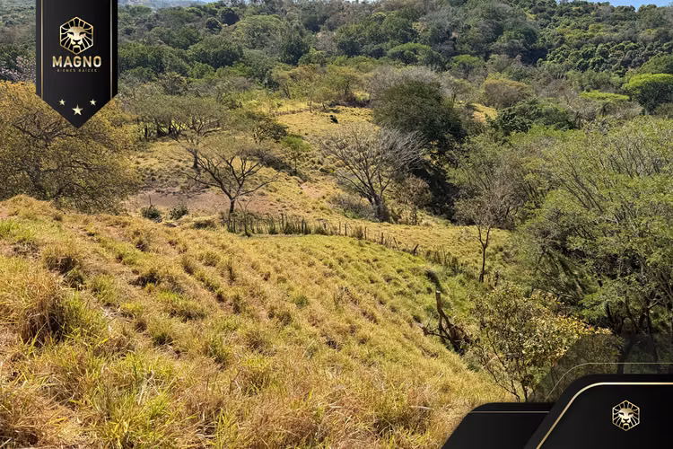 Propiedad en Venta San Juan de Dios, San Mateo, Alajuela.