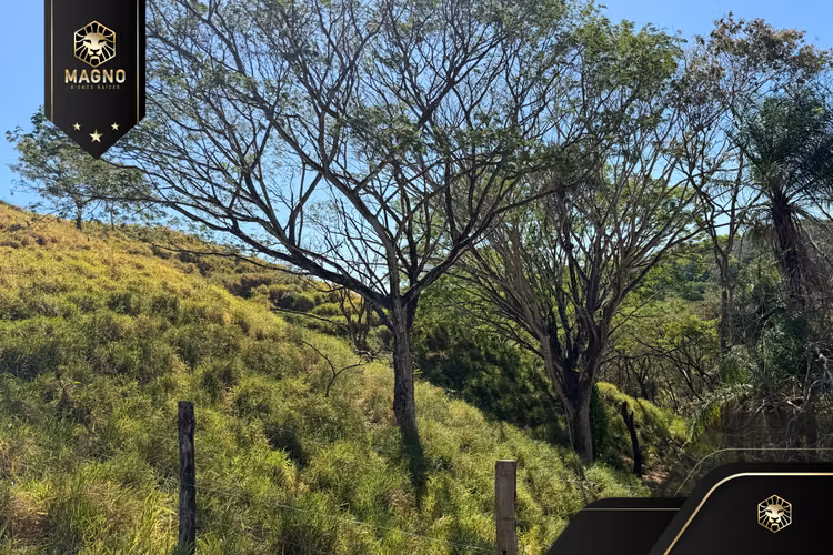 Propiedad en Venta San Juan de Dios, San Mateo, Alajuela.