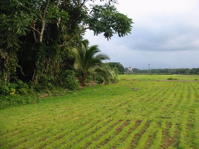 Finca en sarapiqui