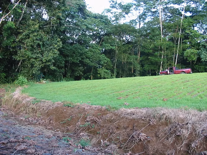 Finca en sarapiqui