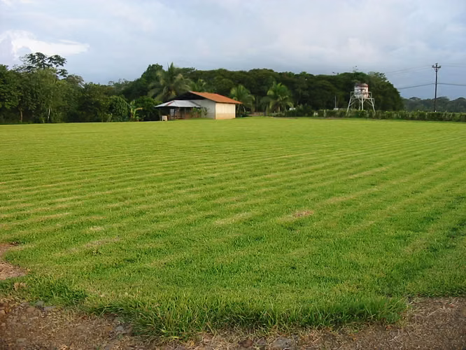 Finca in Sarapiqui