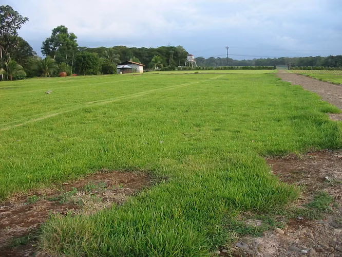 Finca en sarapiqui