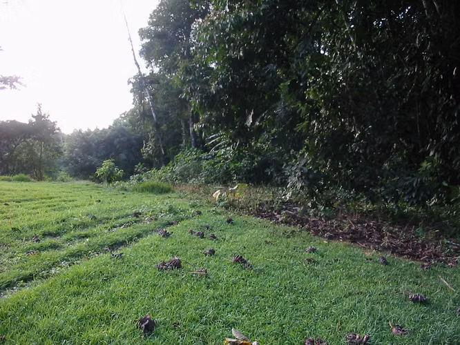 Finca en sarapiqui