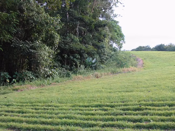 Finca en sarapiqui