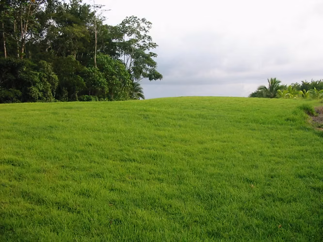Finca en sarapiqui