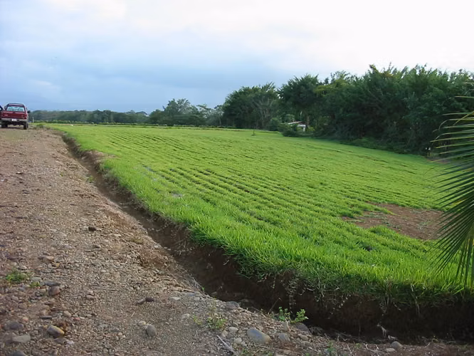 Finca en sarapiqui