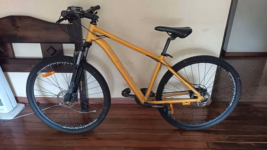 BICICLETA #29