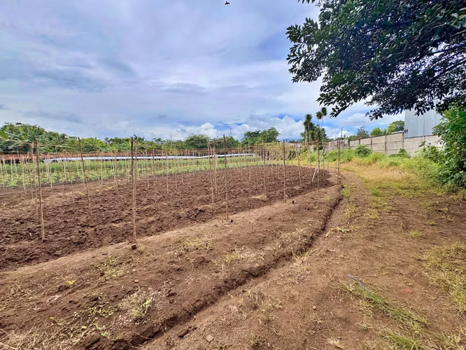 Venta terreno para desarrollo inmobiliario, La Guácima. (IC)