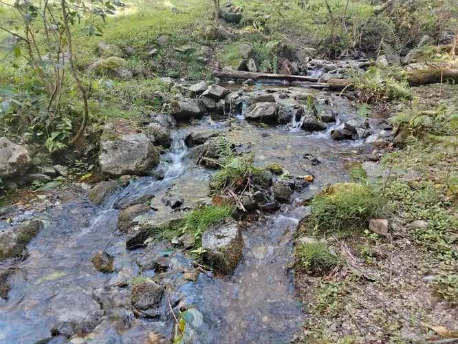  Finca 52 Hectáreas en Copey de Dota | Agua Propia, Mora en Producción y Potencial Agroturístico