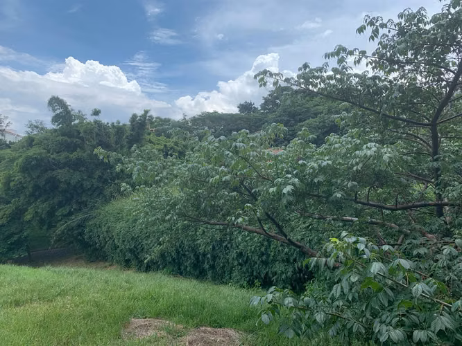 Venta de Exclusivo Lote plano en Eco Residencial Villa Real