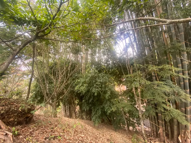 EXCELENTE OPORTUNIDAD TERRENO DE 4200m² EN CARRIZAL DE ESCAZÚ