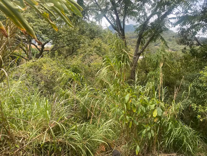 EXCELENTE OPORTUNIDAD TERRENO DE 4200m² EN CARRIZAL DE ESCAZÚ - Imagen 14