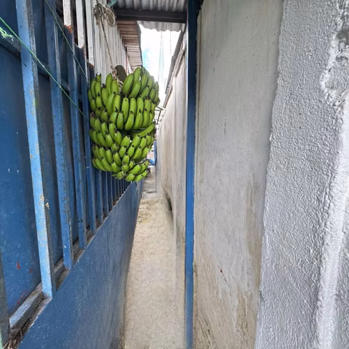 Venta de Escuela con amplia experiencia, San José