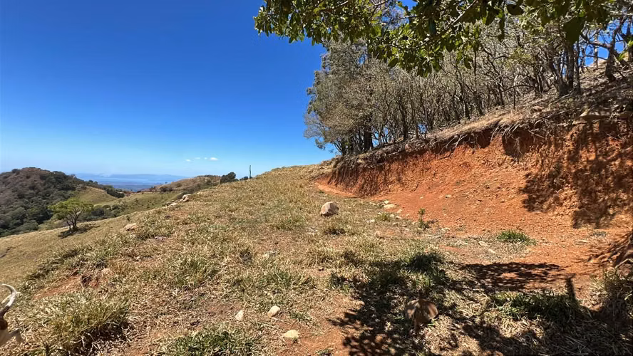 Vendo Hermoso Lote Santa Elena de Monteverde