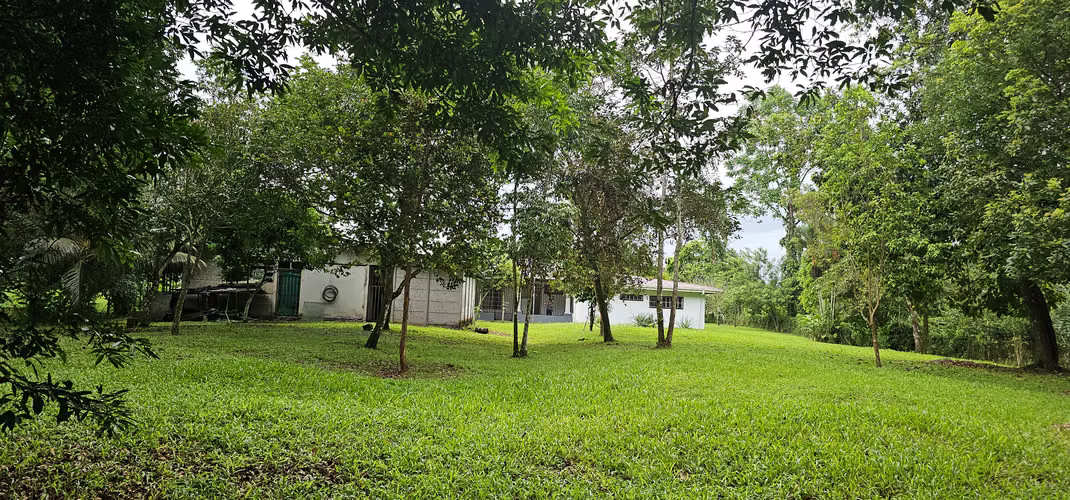 Venta de casa en Guápiles de una planta, en Limón, Costa Rica - Imagen 7