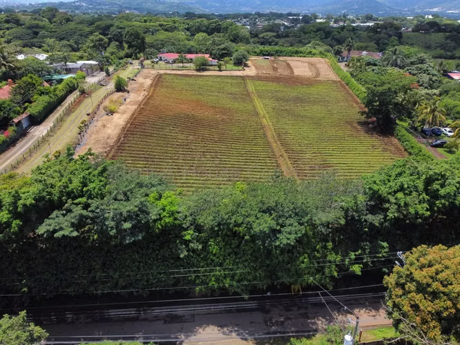 Farm for Sale in San Rafael de Alajuela. 26-967