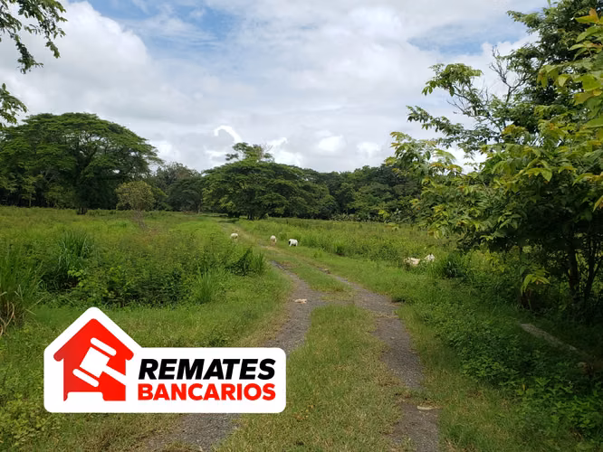 Venta de lote para desarrollo en Esterillos, Parrita, Remate