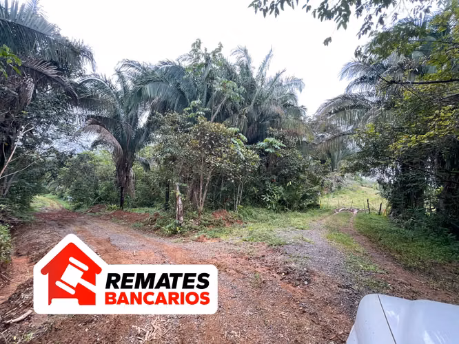 Venta de lote para desarrollo en Esterillos, Parrita, Remate