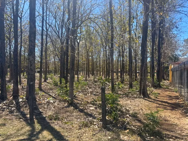 VENTA – TERRENO EN ARADO, SANTA CRUZ, GUANACASTE, A MINUTOS DE HERMOSAS PLAYAS